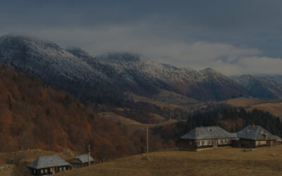 What Nobody Tells You About Finding a Good Therapist in Rural Areas