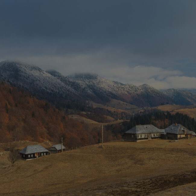 Online Mental Health Care for Rural Areas