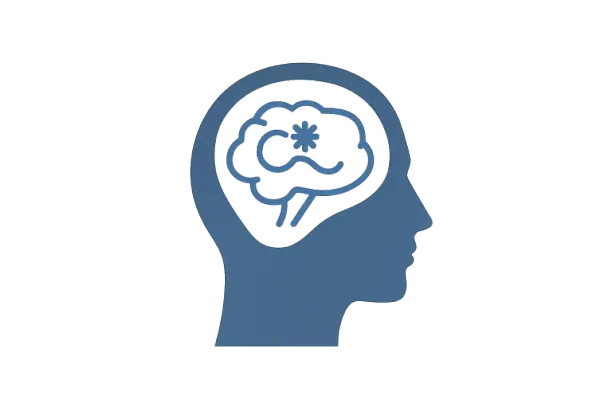 image_of_a_head_with_brain_display image of a head with brain display