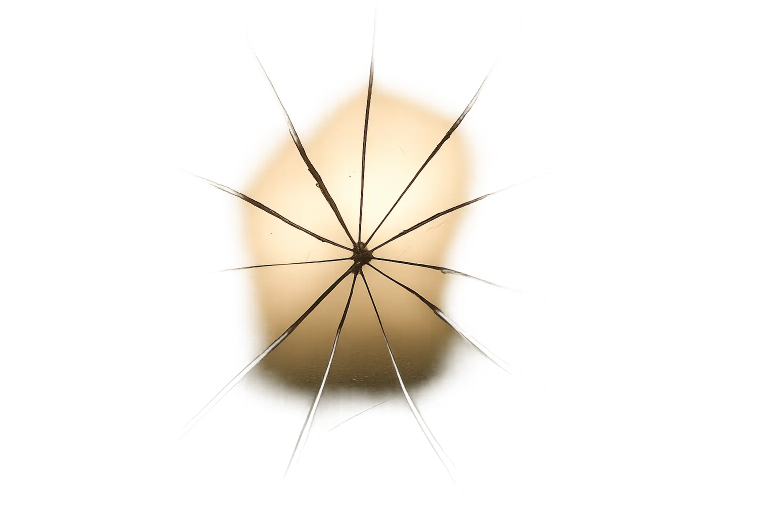 Healing fragmented self-image through trauma-informed therapy