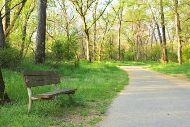 North Huntingdon depression therapy peaceful park setting - North Huntingdon depression therapy