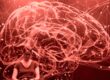 emotional intelligence life coach