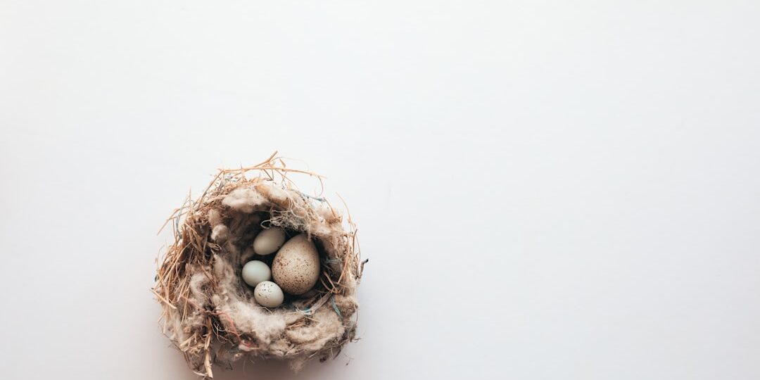 empty nest grief process