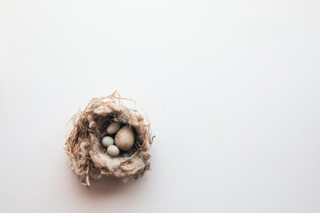 empty nest grief process