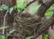 coping with empty nest