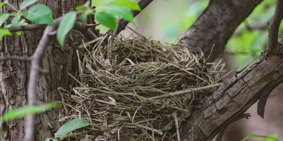 coping with empty nest