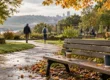 Two coffee cups left on a park bench while people walk toward a community garden, a scene for friendship breakup grief